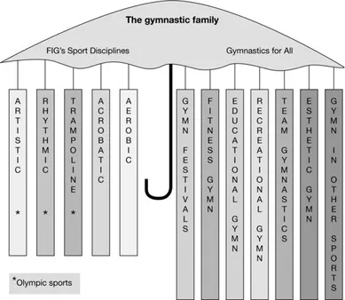 From Ancient Origins to Modern Discipline: Tracing the Fascinating Journey of Gymnastics